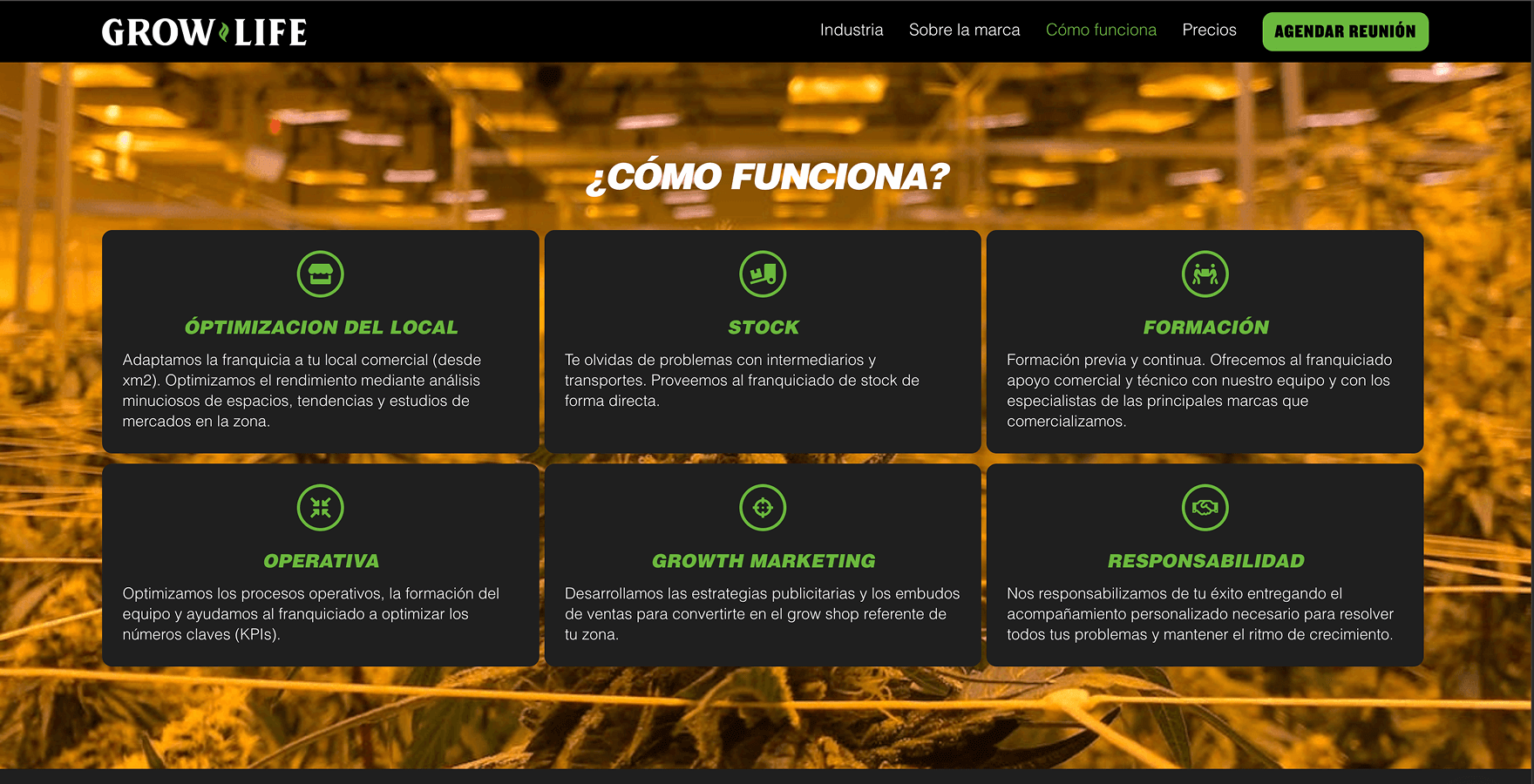 Franquicias Grow Life — pantalla 2