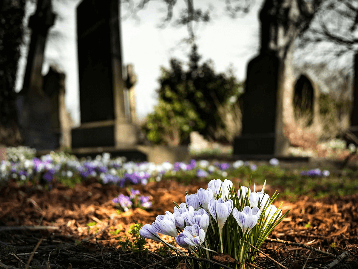 Headshots for Headstones